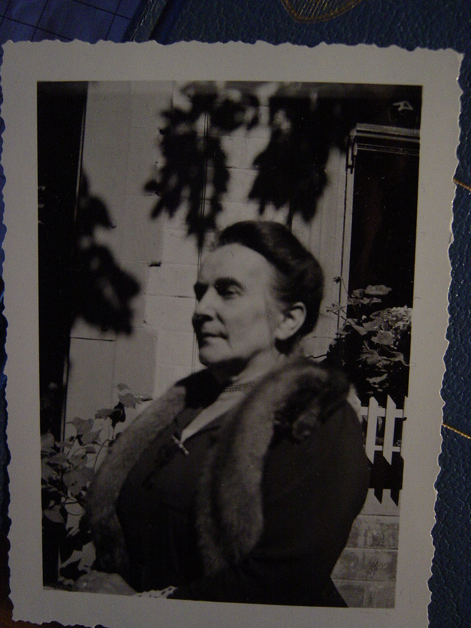 Archives historiques